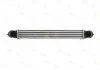 Интеркулер THERMOTEC DAF003TT (фото 1)