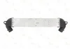 Интеркулер THERMOTEC DAF003TT (фото 2)