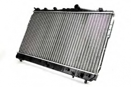 Радиатор, охлаждение двигателя THERMOTEC D70013TT (фото 1)