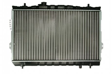 Основной радиатор (двигателя) THERMOTEC D70517TT (фото 1)