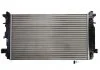 Основной радиатор (двигателя) THERMOTEC D7M058TT (фото 1)