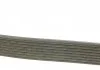 Ремень генератора MB Vario OM900/904 96- DAYCO 8PK1420HD (фото 2)