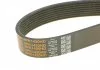 Ремень генератора MB Vario OM900/904 96- DAYCO 8PK1420HD (фото 3)