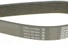 Ремень генератора MB Vario OM900/904 96- DAYCO 8PK1420HD (фото 5)