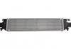 Интеркуллер THERMOTEC DAD002TT (фото 2)