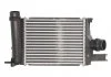 Інтеркулер DACIA DOKKER, DUSTER, LODGY, LOGAN II, LOGAN MCV II, SANDERO II RENAULT ARKANA I, CAPTUR I, CLIO IV, DUSTER, LODGY, LOGAN I, LOGAN/STEPWAY II, SANDERO/STEPWAY II 0.9-1.6LPG 02.08- THERMOTEC DAR004TT (фото 1)