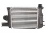 Радиатор охлаждения воздуха THERMOTEC DAR004TT (фото 2)