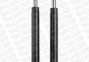 Амортизатор MONROE MR253 (фото 1)