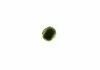 Датчик температуры CR LAND ROVER/VOLVO Range Rover \'\'4,4/C30/C70/S40-S80/V40-V70/XC60/XC70 BOSCH 0281006021 (фото 4)