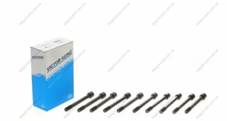 Комплект болтів головки блоку циліндрів Hyundai Accent MC 2005-2010 1,4, Getz 1,4 VICTOR REINZ 14-55096-01