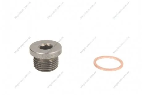 Пробка поддона BMW 1(F20)/ 3(E36)/ 5(E60,F10)/ 7(F01)/ X5(E53,E70) "96>> FEBI BILSTEIN 31704