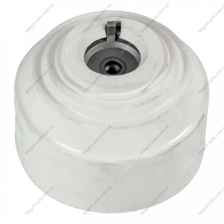 Подушка двигуна Mercedes S 320 / Mercedes S 350 FEBI BILSTEIN 17748 (фото 1)
