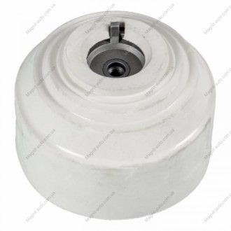 Подушка двигуна Mercedes S 320 / Mercedes S 350 FEBI BILSTEIN 17748