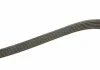 Ремень П-клиновый 6PK1245 FORD \'\'2.0 tdci BOSCH 1987946280 (фото 3)