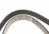 Ремень П-клиновый 6PK1245 FORD \'\'2.0 tdci BOSCH 1987946280 (фото 4)