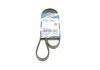 Ремень П-клиновый 4PK1080 BOSCH 1987946274 (фото 1)
