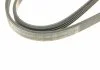 Ремень П-клиновый 4PK1080 BOSCH 1987946274 (фото 4)