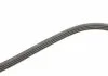 Ремень П-клиновый 4PK1100 BOSCH 1987947863 (фото 3)
