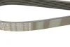 Ремень П-клиновый 7PK1980 BOSCH 1987948478 (фото 4)