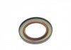 Уплотняющее кольцо, коленчатый вал CORTECO 20018081B (фото 2)