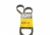Поликлиновый ремень (6PK1320) AUDI TT FORD GALAXY I, GALAXY MK I SEAT ALHAMBRA, LEON, TOLEDO II VW BORA, BORA I, GOLF IV, MULTIVAN T5, NEW BEETLE, SHARAN, TRANSPORTER T5 2.3/2.8/3.2 03.99-09.10 Contitech 6DPK1320 (фото 1)