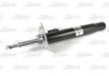 Амортизатор передн лів BMW 3 (E46) 1.8-3.0D 02.98-12.07 MAGNUM TECHNOLOGY AGB033MT (фото 1)