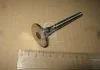 Клапан випускний EX VAG (вир-во KS) KOLBENSCHMIDT 33048 (фото 2)