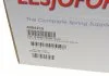 Пружина перед. AUDI, 80 1,6 / 1,8 / 2,0 E / 2,3 E / 2,3 E QUATTRO 9/91-95 LESJOFORS 4004215 (фото 6)