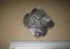 Колодки тормозные дисковые задние Hyundai Elantra IV, Santa Fe I, Tucson (04-10)/ Kia Sportage II CHAMPION 572557CH (фото 1)