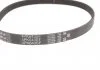 Роликовый модуль натяжителя ремня (ролик, ремень) Gates K266PK1555 (фото 5)