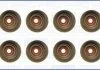 Комплект сальников клапана RENAULT MEGANE II, III 1.6, 2.0i Ajusa AJUSA 57031200 (фото 1)
