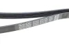 Ремень генератора Opel Astra/Corsa/Insignia/Zafira 1.4 09- DAYCO 5PK1397 (фото 3)