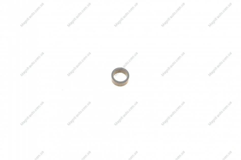 Ремкомплект - кратн. 50 шт BOSCH F00VH05102 (фото 1)
