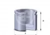 Поршень, корпус скобы тормоза SEINSA D02533 AUTOFREN D0 2533