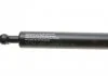 Пружина газова зад. LEXUS, RX, WITH POWER OPENING TAILGATE 2/03-12/08 LESJOFORS 8149103 (фото 2)
