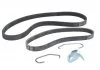 Поликлиновый ремень (6PK1019) FORD FIESTA V, FUSION MAZDA 2 1.2-1.6 11.01-12.12 Contitech 6 PK 1019 T1 (фото 1)