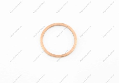 Уплотнительное кольцо, резьбовая пр, Уплотнительное кольцо VAG N0438541 (фото 1)