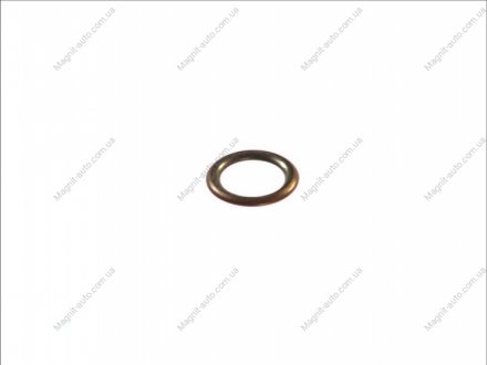 Уплотнительное кольцо, резьбовая пр, Уплотнительное кольцо ELRING 394290 (фото 1)