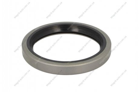 Уплотняющее кольцо, ступица колеса, Уплотнительное кольцо ELRING 484300 (фото 1)