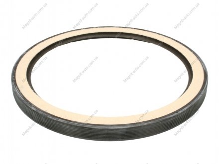 Уплотняющее кольцо, коленчатый вал, Уплотнительное кольцо ELRING 000270 (фото 1)