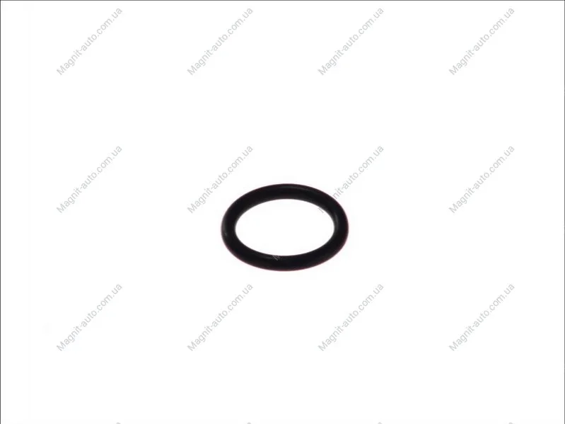 Кільце ущільнююче гідрокомпенсатора, VW T2/T3 1.7-2.0 71-86 ELRING 750298 (фото 1)