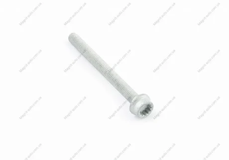 Болт кріплення кошика зчеплення (6х16mm) / Т5 04- VAG N90725501