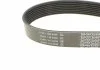 Ремень поликлиновый DAYCO 8PK1295 (фото 3)