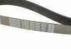 Ремень поликлиновый DAYCO 8PK1295 (фото 4)