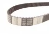 Комплект ГРМ Contitech CT1035WP2 (фото 2)