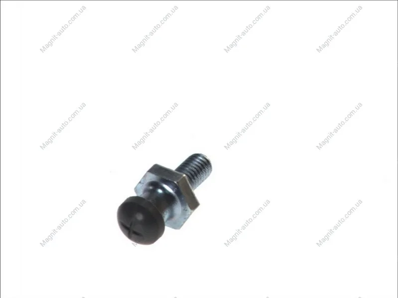 Болт вилки зчеплення, 1.9TDI-2.4D CaddyII/III/T4/T5 TOPRAN / HANS PRIES 109644 (фото 1)
