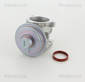 Клапан рециркуляції відпрацьованих газів BMW 1/3/5/7 2.0-3.0D 03-12 TRISCAN 881311003 (фото 1)