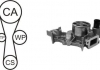 Водяной насос + комплект зубчатого ремня AIRTEX WPK181801 (фото 2)