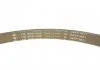 Ремень поликлиновый, комплект, FORD Mondeo 07-15 INA 529022210 (фото 4)