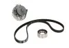 Роликовый модуль натяжителя ремня (ролик, ремень, насос) SKF VKMC022101